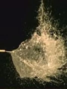 看不见的世界：超越肉眼